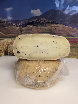 Pecorino al Tartufo