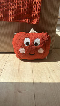 Mr. Pumpkin