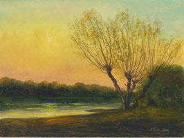 Öl auf Papier, "Weiden im Abendlicht an der Elbe bei Dresden", 18 x 24 cm