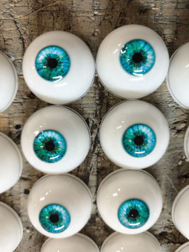 Auge 43