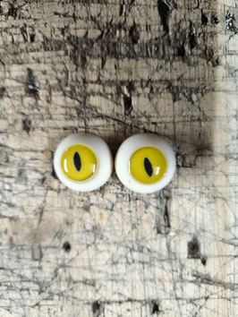 Auge 41