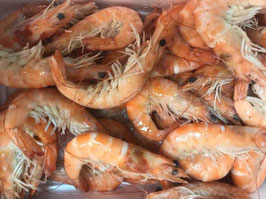 PI. LANGOSTINO COCIDO