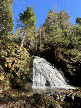 Achtsames Wandern Tour 1, Donnerstag, den 30.05.2024 um 14:00 Uhr