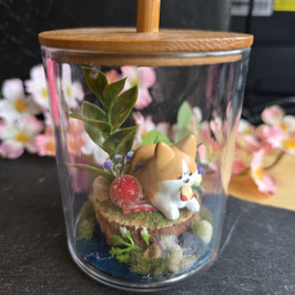 Medi Miniatur Corgi