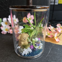 Medi Miniatur kleiner Hund