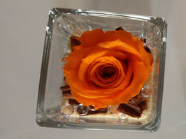 Rosa eterna arancio in cubo vetro 5x5cm