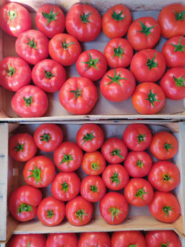 Tomates