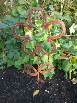 Hufeisenblume, die Blume die immer blüht.