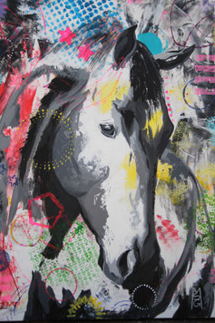 Equus