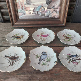 Lieve set van 6 petit fours schaaltjes voorzien van vogels, ook handig als theetipje of boterschaaltje, 10x10 cm