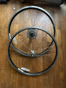 BONTRAGER
