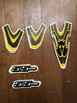 STICKER INTENSE 5.5 EVP
