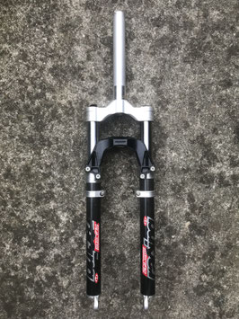 pace rc 36 carbon