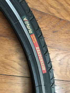 VITTORIA RANDONNEUR