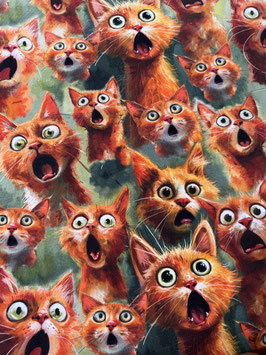 French Terry Druck XXL - Cats