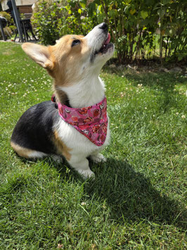 Aqua Coolkeeper Bandana
