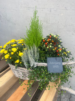 Pflanzenschale