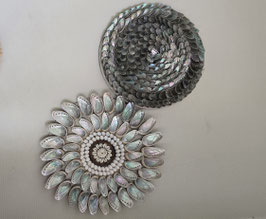 Abalone wanddeco