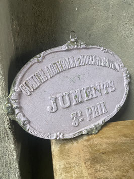 Dekoratives Französisches Eisenschild in einem schönem Farbton