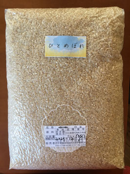 ちだまい白米　ひとめぼれ５kg