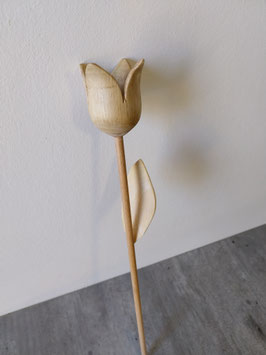 Tulipe 2
