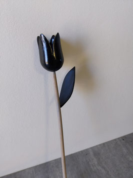 Tulipe 6