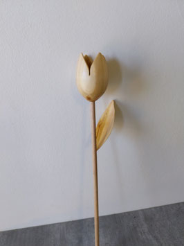 Tulipe 9