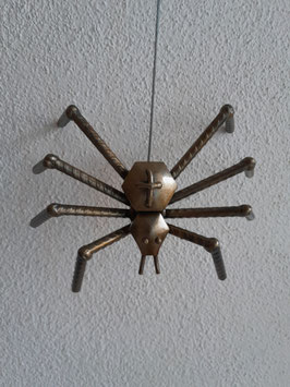 Spinne