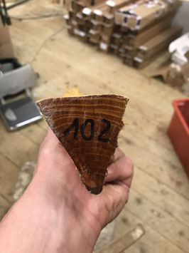 Bogenrohling Osage Orange 102