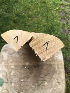 Bogenrohling Billets Esche 1