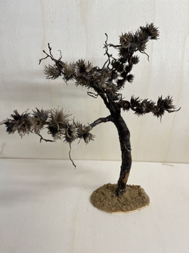 Joshua Baum