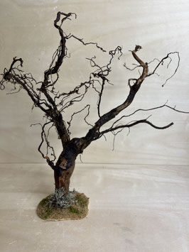 alter knorriger Baum