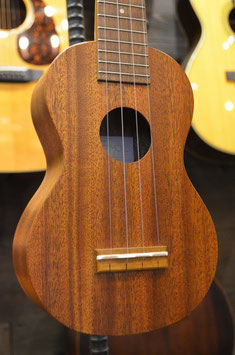 Famous FS-1G