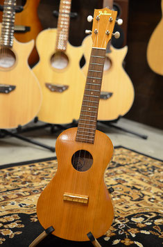 Famous FC-11G