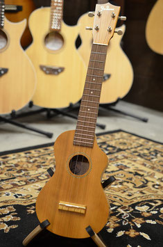 Famous FLS-11GC