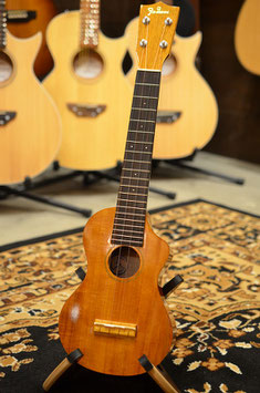 Famous FLS-5GC