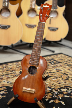 Famous FS-7G