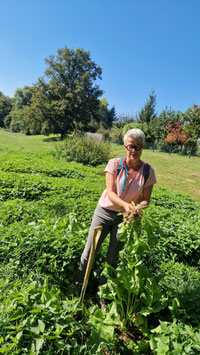 Kräuterwanderung & Workshop "Kräuter-Hausapotheke", Samstag, 13.09.2025, 11-14 Uhr, Altenhof