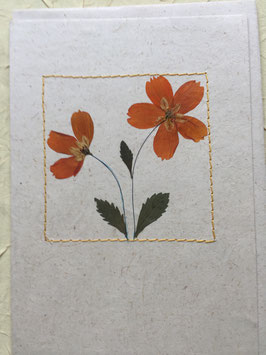 Postkarte Blüten