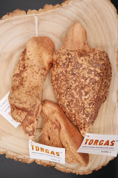 Torgas Kauwurzel