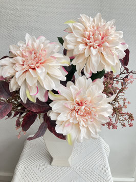 Dahlie, weiches peach-rosé