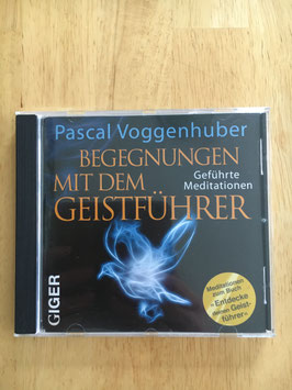 Pascal Voggenhuber "Begegnungen mit dem Geistführer" CD