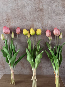 Tulpenbund künstlich in zwei Farben