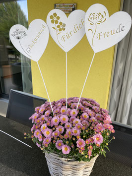 Herz-Gartenstecker weiss mit Sprüchen  "Glückwunsch", "Freude", "Für dich"