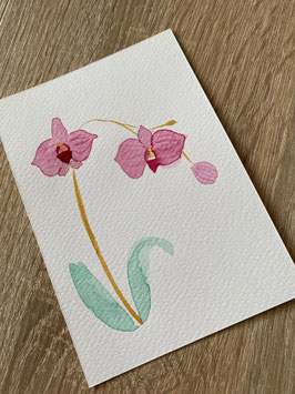 Postkarte "Orchidee"