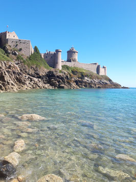 Venez découvrir une Quarantaine d'espèces