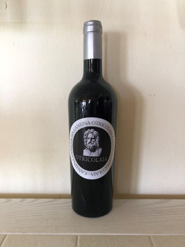 Rosso Otricolaia 2017