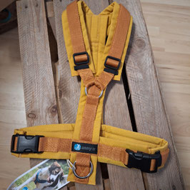 Geschirr Senfsgelb Annyx M