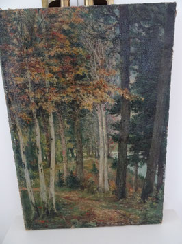 Ölgemälde auf Leinwand - Baum- / Waldlandschaft (L)
