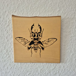 Hirschhornkäfer Ahorn